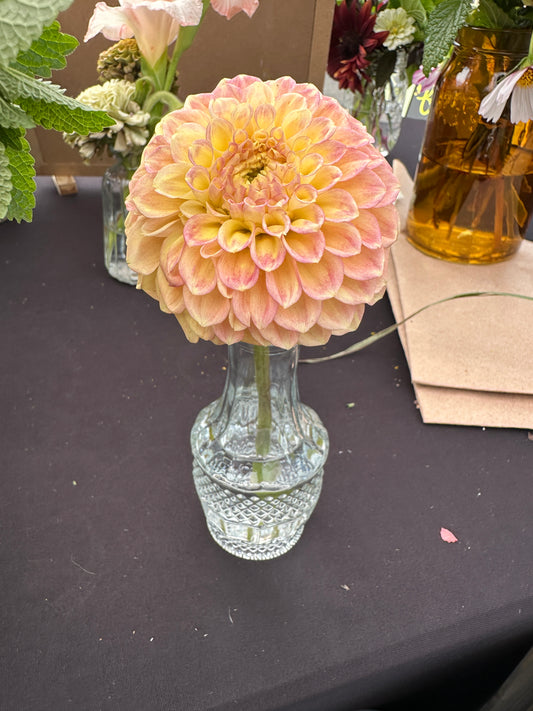 Bud Vase Arrangement