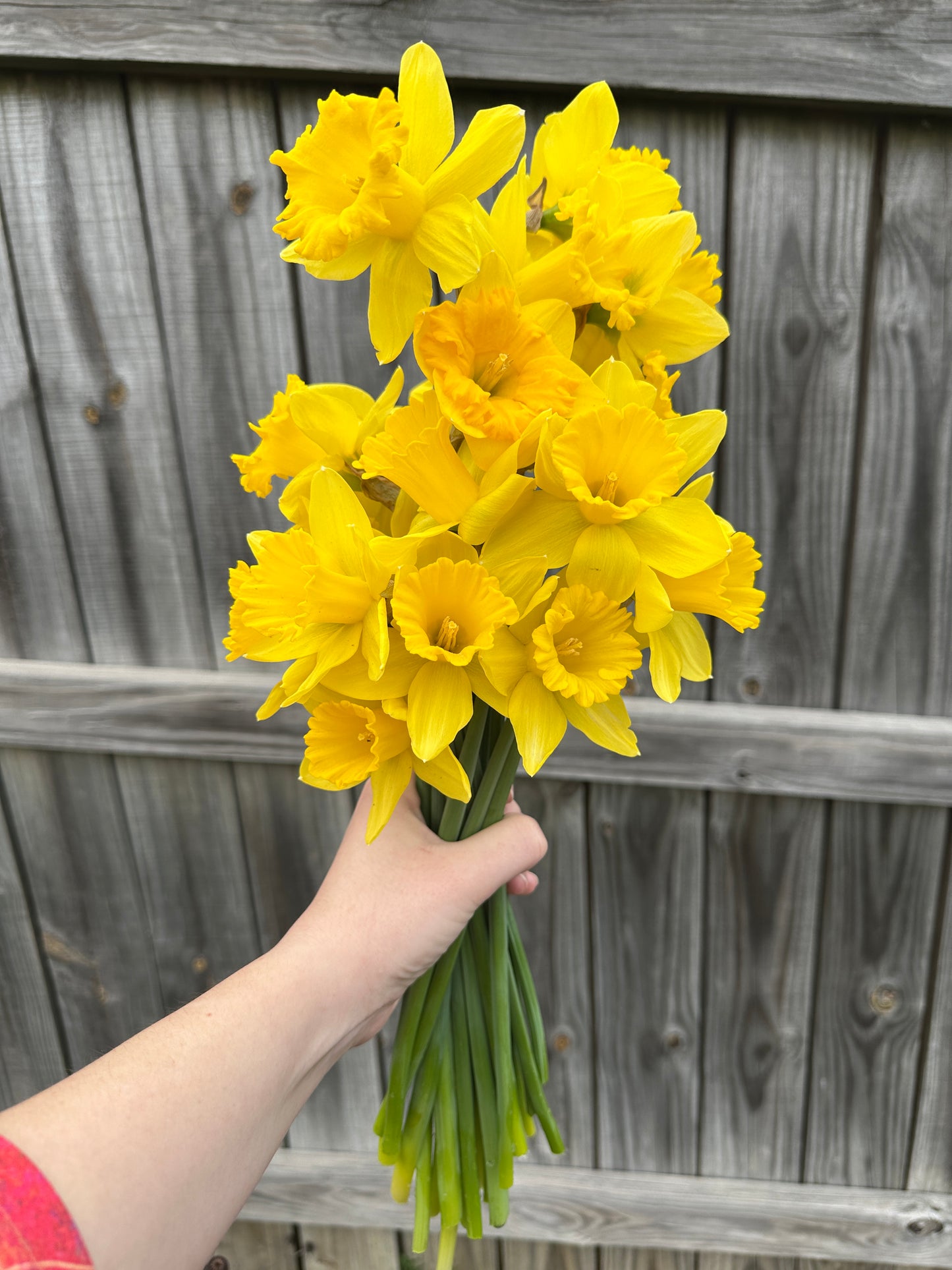 Spring CSA Bouquet Subscription