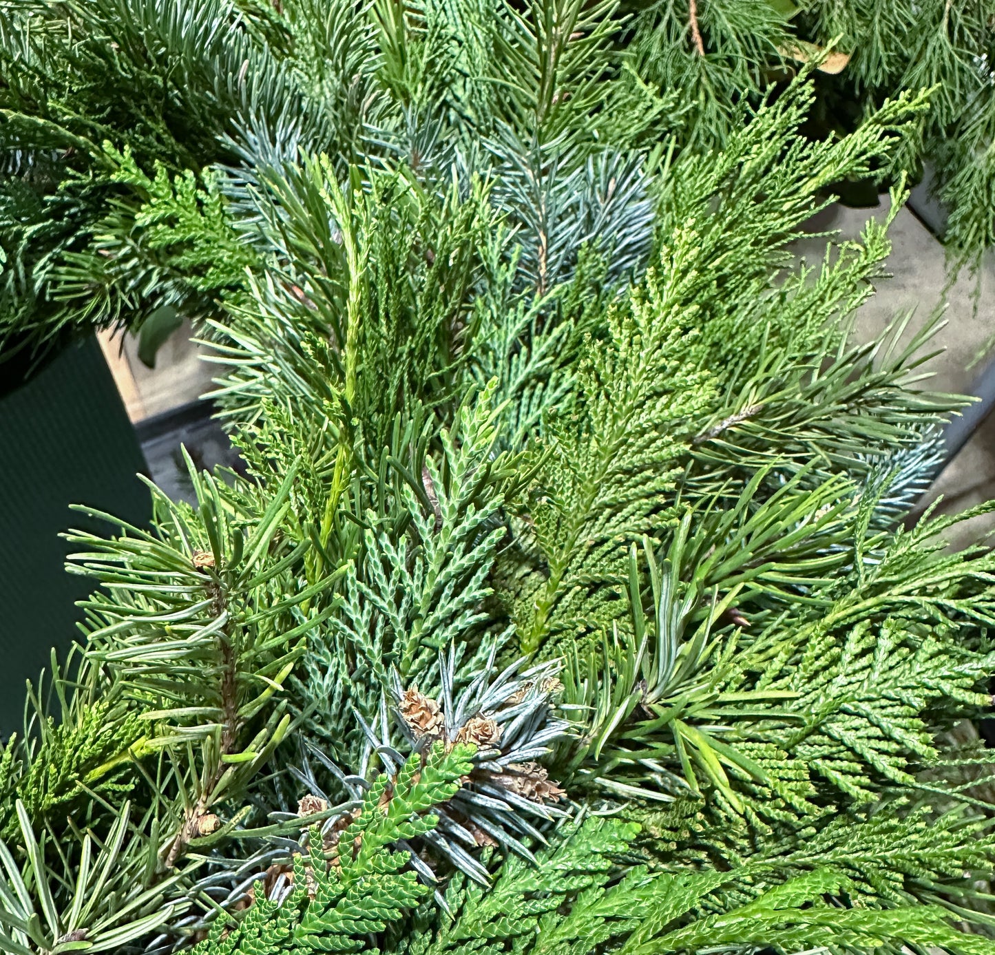 Just the Greens Wreath