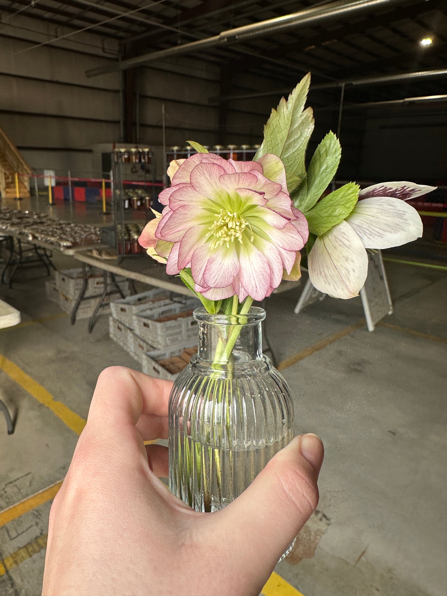 Bud Vase Refill