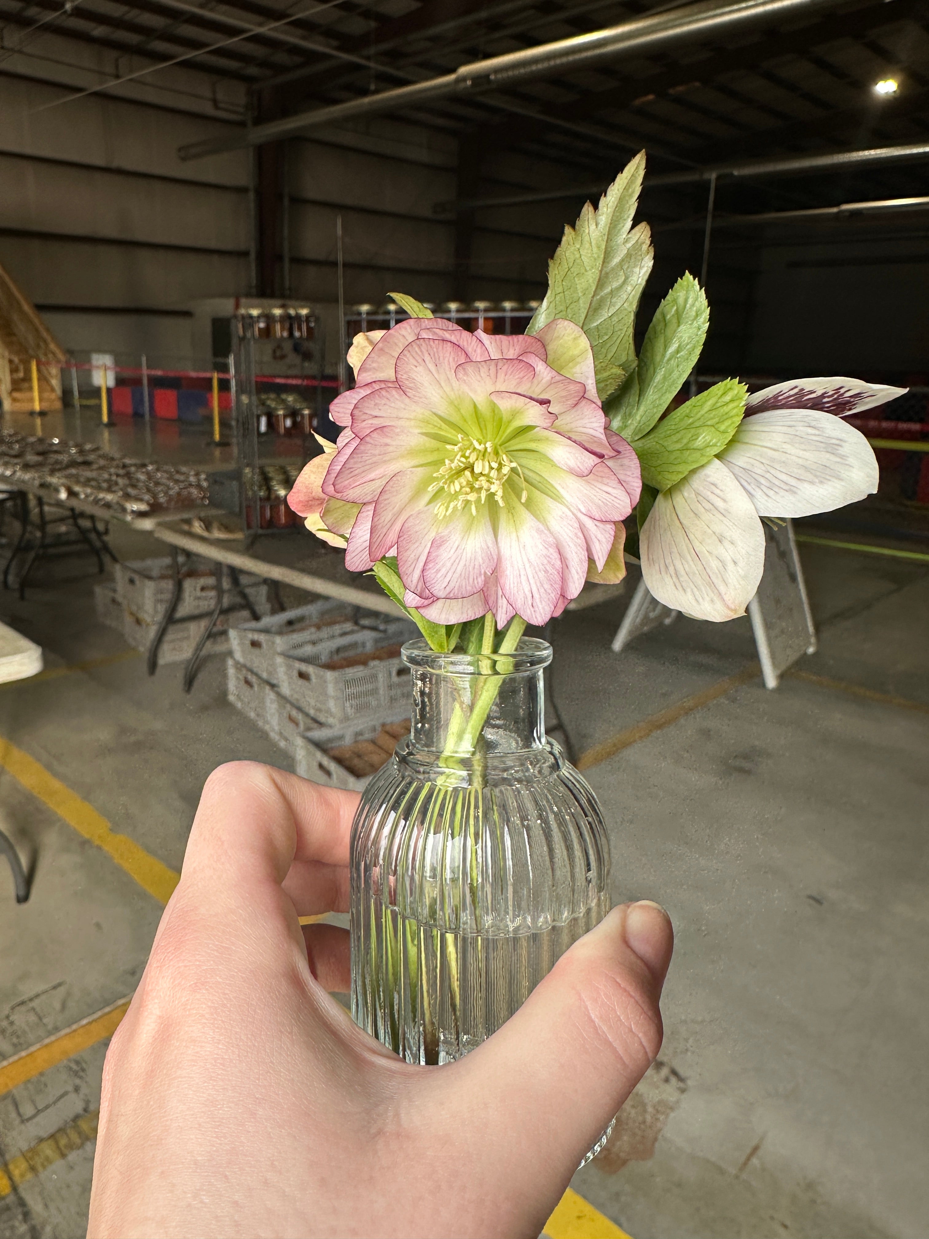 Bud Vase Refill