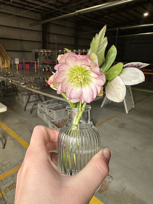 Bud Vase Refill