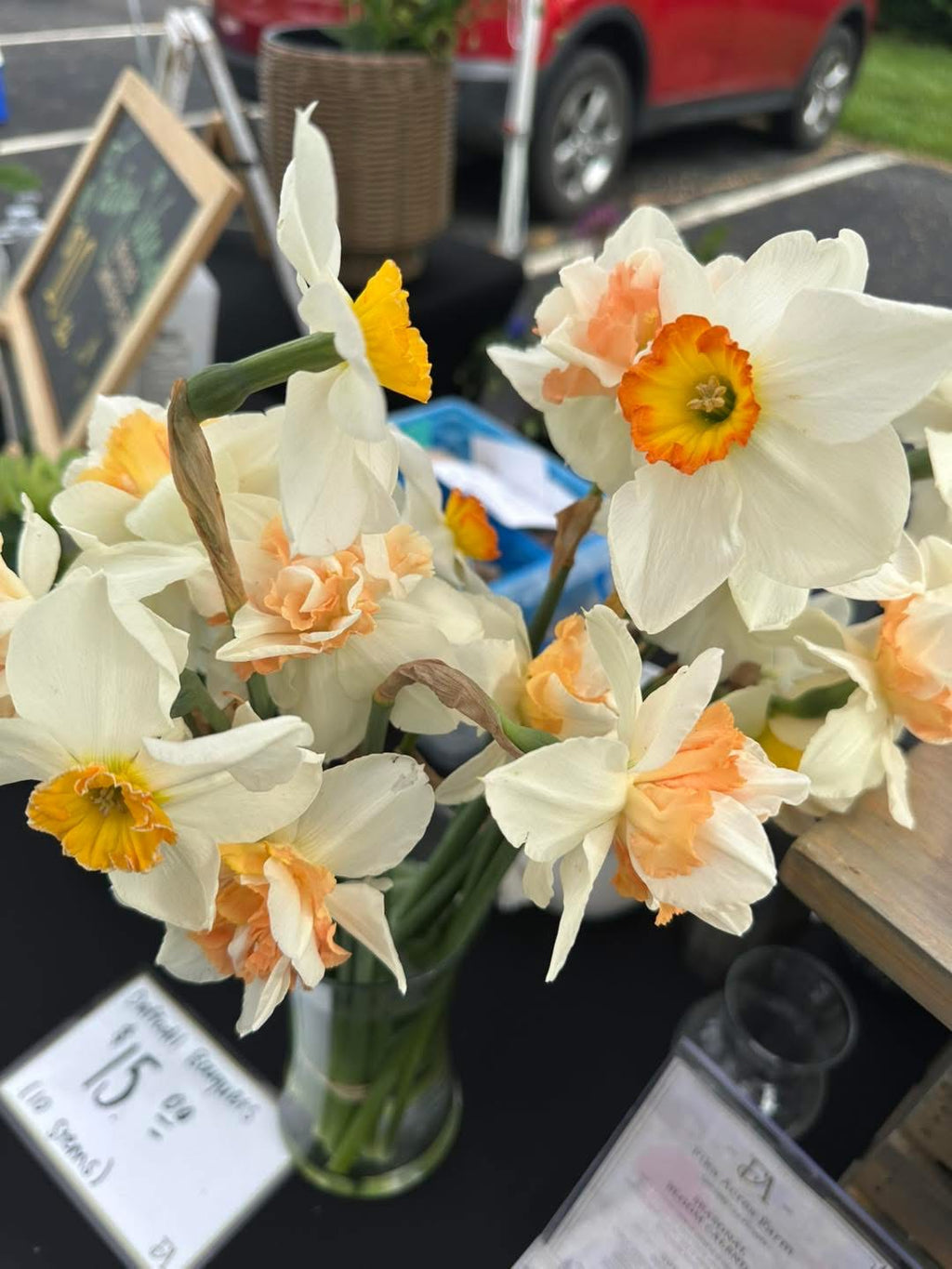 Daffodil Bouquet