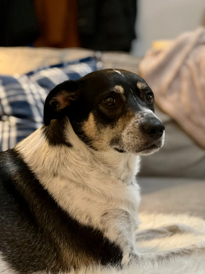 Lillian Mae "Lilly"