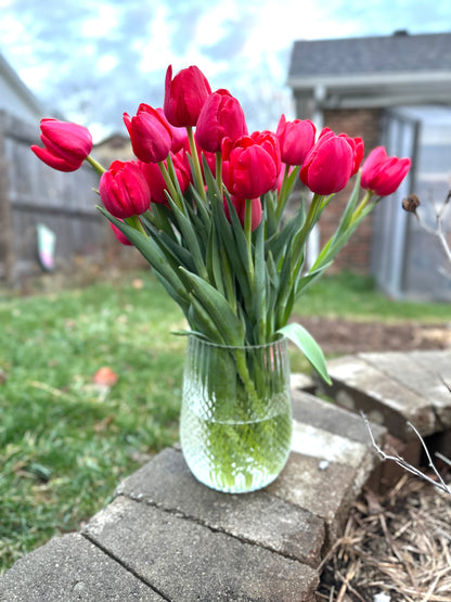2026 Winter Tulip CSA