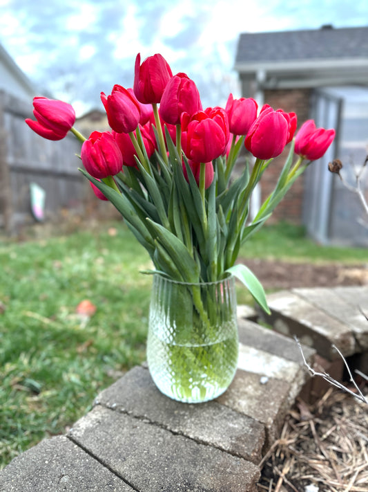 2026 Winter Tulip CSA