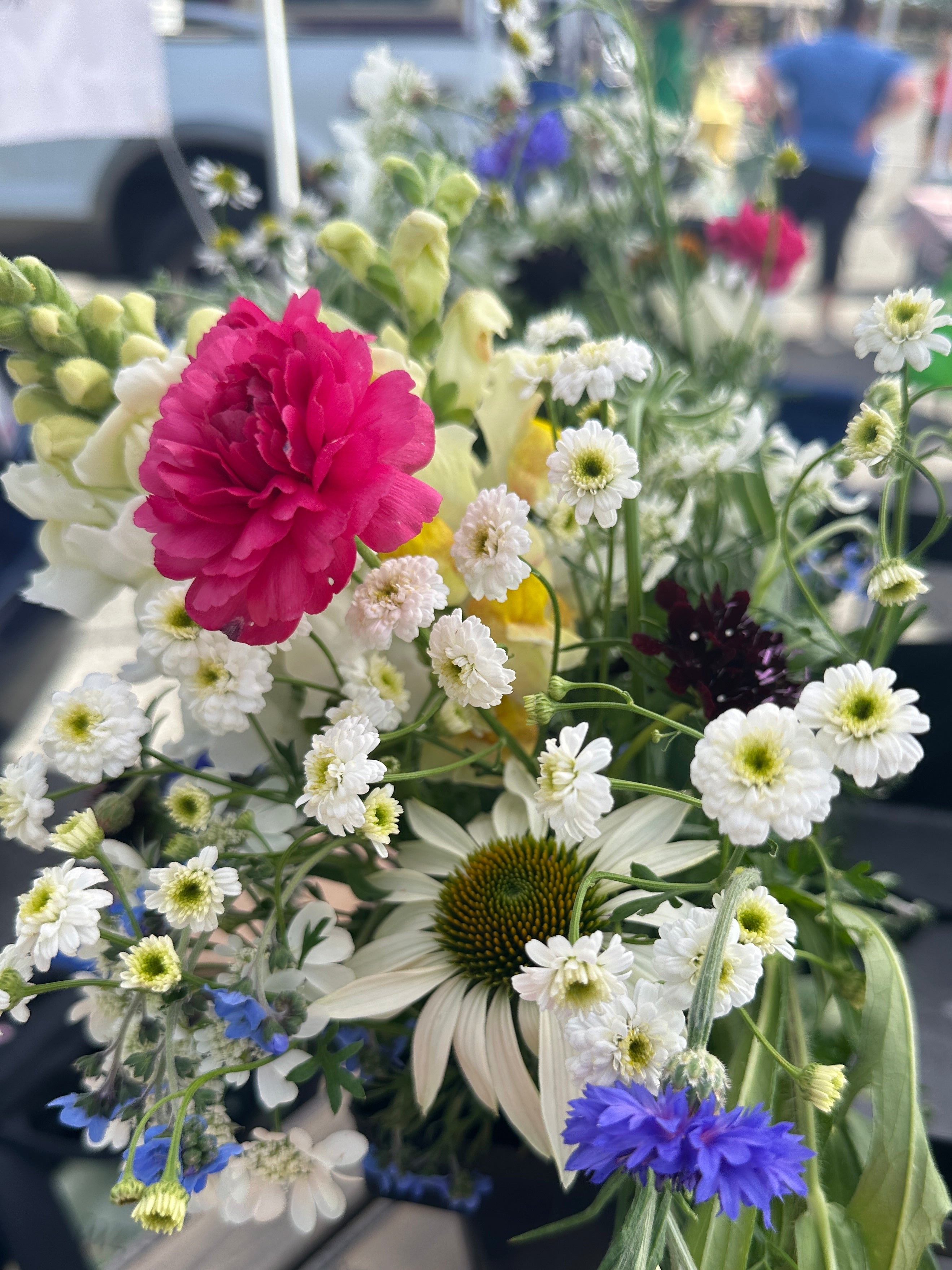 Spring CSA Bouquet Subscription